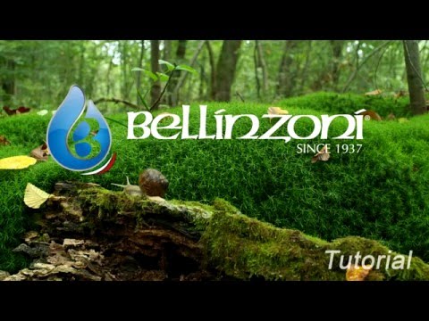 BELLINZONI Paste Wax Clear
