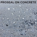 1MTPROSEAL02-5T.jpg