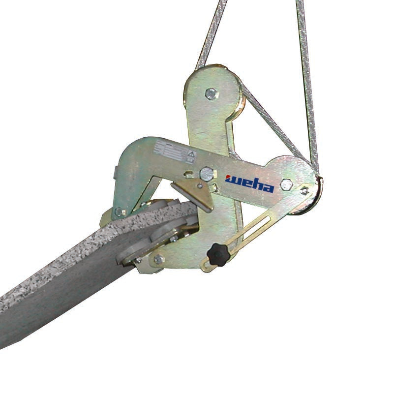 RibaSerie4.jpg