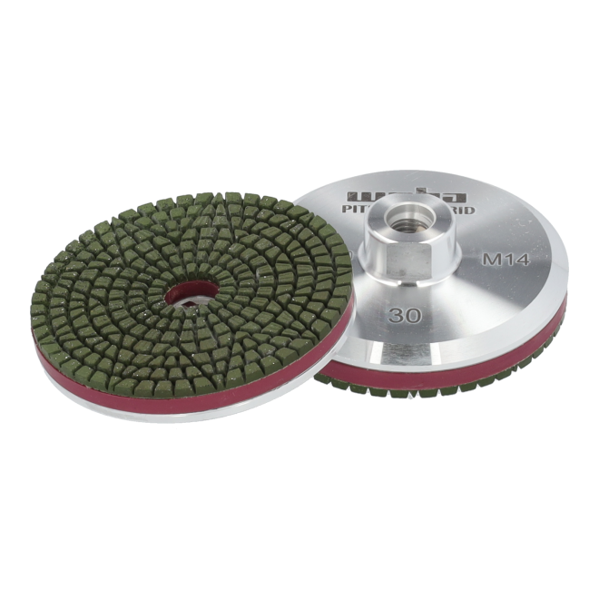 145750_DiaGentle-PitbullHybrid_1.png