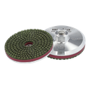 145750_DiaGentle-PitbullHybrid_1.png