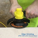 PSC-Vexcel.jpg