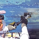 COTE-04 - Image 3