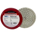 Alpha PlasterKing Polishing Pad