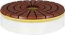 4" Cyclone snail lock Velcro Pad