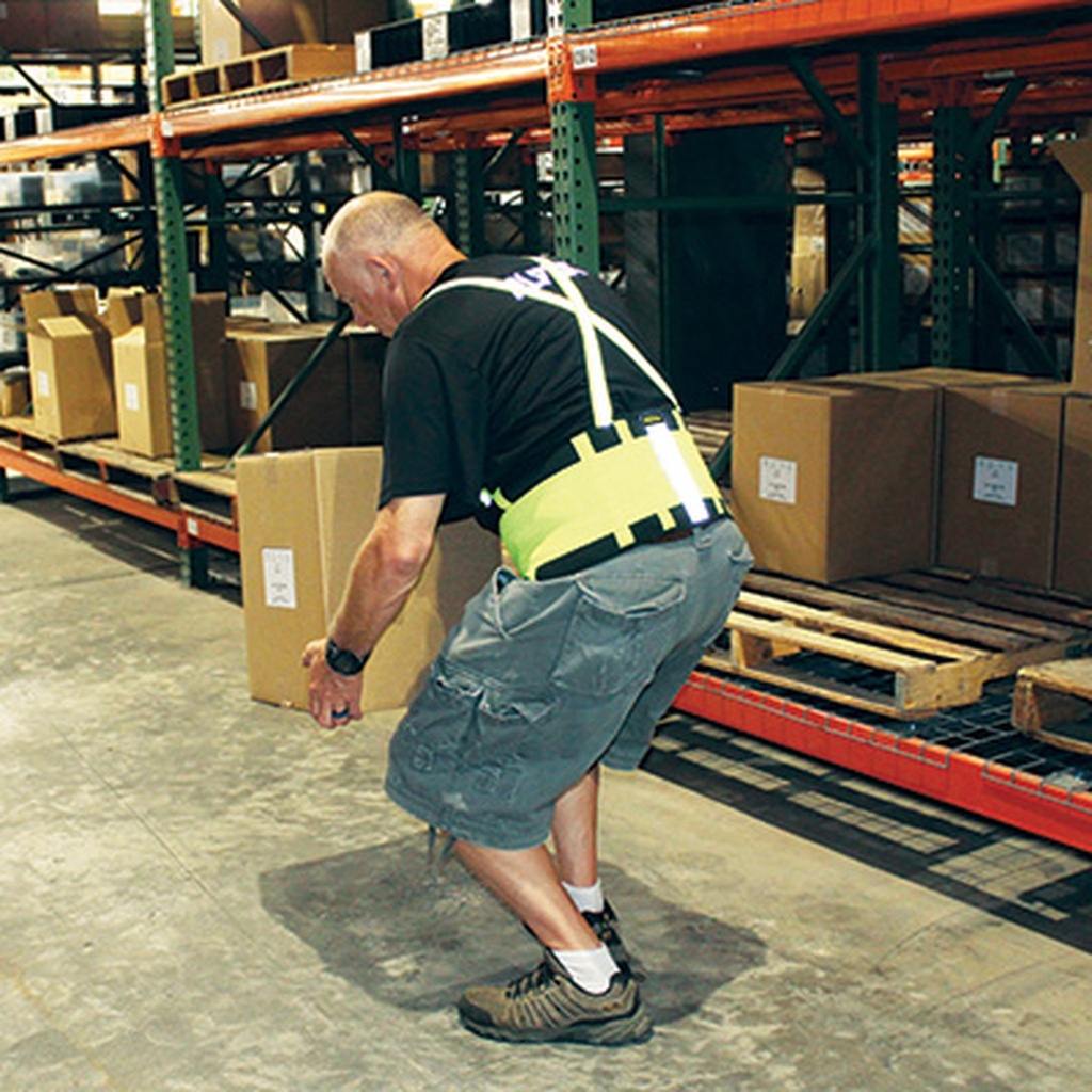 Alpha Professional Tools Lumbar Support Belt Blk S