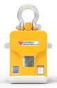 Aardwolf AL50AR Automatic Slab Lifter with Rollers