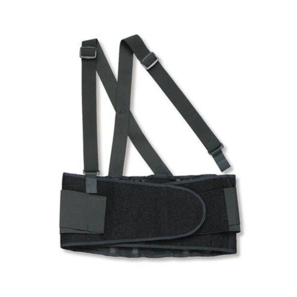 [BSBL] Premium Back Support (Large)