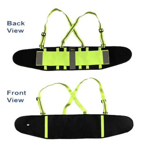 [LSB0000L] Alpha Professional Tools Lumbar Support Belt Blk L